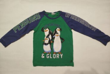 Детская пайта Penguins для мальчика 9-10 лет, рост 128 см